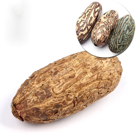 Miaoling Pavilion Thousand-Eyed Bodhi Seed Atomic Seed Weathered Extra Large Red-striped Fruit Star-and-Moon Bodhi Fruit Handpiece Bracelet Materials Spider Pattern/Yin-skinned Old Fruit-2 Long Fruits 8-10cm Long-Selected Bodhi //Sandpaper