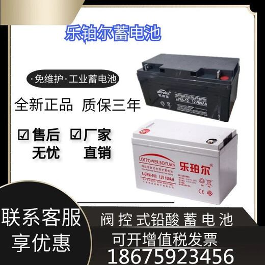 Leboer battery 12V100AH solar energy 12V7A12A17A24A38A55A65A150Aups dedicated 12V24AH