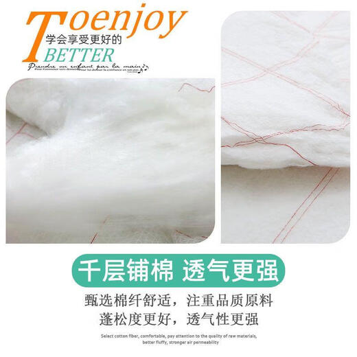 棉被垫被床垫棉被子冬天加厚学生宿舍棉花被芯春秋被褥棉胎被 2米* 2.2米 10 斤