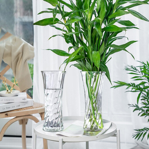 Extreme space vase glass rich bamboo large vase living room vase hydroponic container Nordic style decorative ornaments 29cm