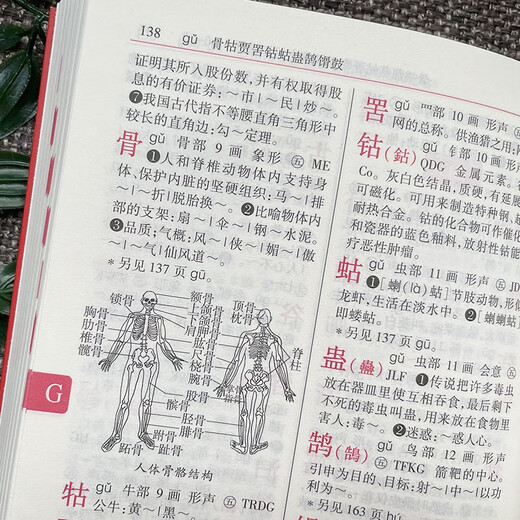 Student Dictionary (Large Character Edition)