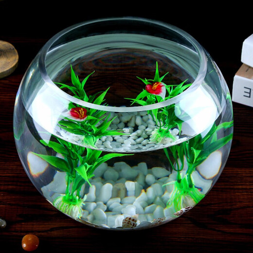 Fish unicorn desktop small fish tank spherical round high tank turtle tank home creative desktop aquarium family ornamental goldfish tank round glass tank diameter 20cm