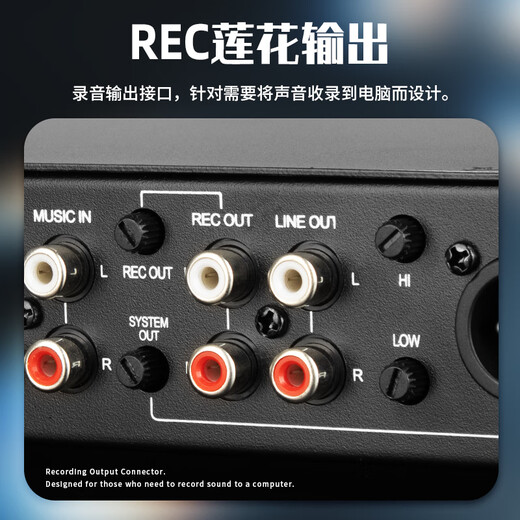 Depusheng LX2400 professional anti-howling feedback suppressor fully automatic conference microphone performance microphone frequency shift LX2600