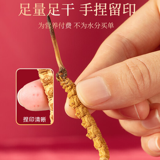 岷农人 冬虫夏草20管5g装 4条/克虫草礼盒滋补送礼高档送长辈领导礼物