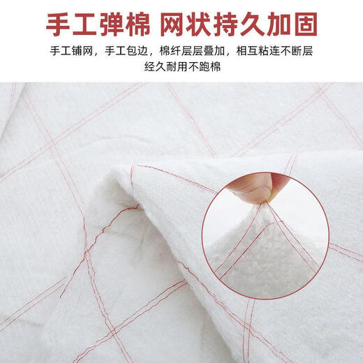 棉被垫被床垫棉被子冬天加厚学生宿舍棉花被芯春秋被褥棉胎被 2米* 2.2米 10 斤