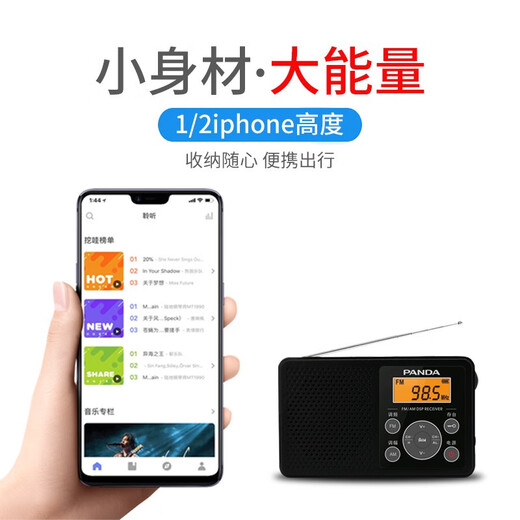 熊猫（PANDA）6105四六级收音机上海高考英语听力收音机考试专用四级六级学生大学生入学调频校园 6105黑色标配+【考试耳机+2节7号电池】