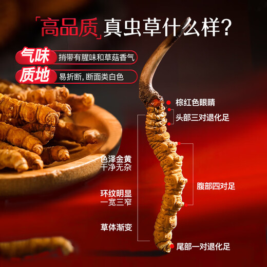 余仁生冬虫夏草礼盒约5条/克50#10g约50条 滋补品 过节送礼礼盒 送长辈 
