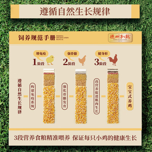 Dezhou Braised Chicken, Shandong specialty gift, cooked food, New Year's Eve gift box, Chinese time-honored vacuum spiced braised chicken, 1kg, 2 pieces