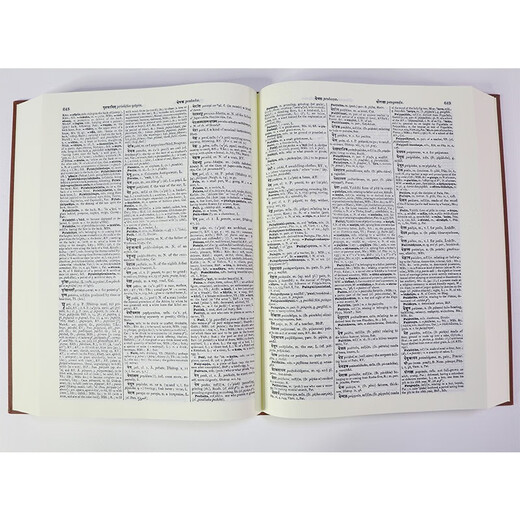 A Sanskrit-English Dictionary (Sanskrit-English Dictionary)