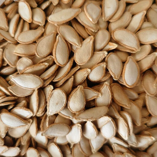 Grafted rootstock black pumpkin seeds grafted seeds black pumpkin seeds rootstock seeds black pumpkin seeds black seeds 250 grams