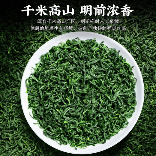 陈一凡 茶叶高山云雾绿茶 明前2025年新茶一级春茶浓香型耐泡散装500g