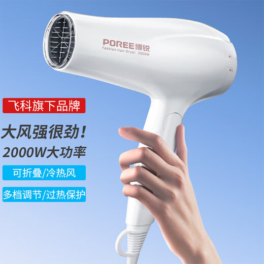 FLYCO 2000W hair dryer household small hot and cold air hair salon high-power hair dryer high wind foldable quick-drying hair dryer for student campus dormitory FH6232/31 Same model as FLYCO FH6232 Flyco's PH1626