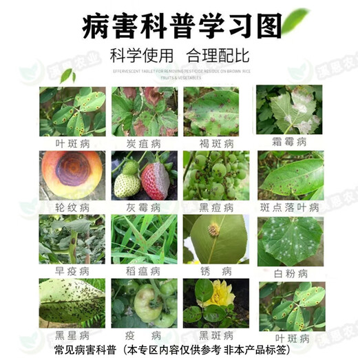 Карбендазим мучнистая роса антракноз серая плесень ложная плесень черное пятно ржавчина фруктовое дерево овощной цветок фунгицид пестицид 500 г * 1 бутылка