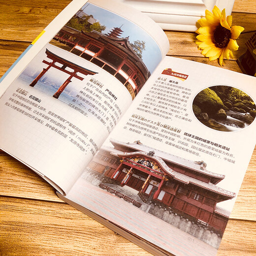 自助游会话书 日语（能用简单曰语沟通，旅行更有趣!）