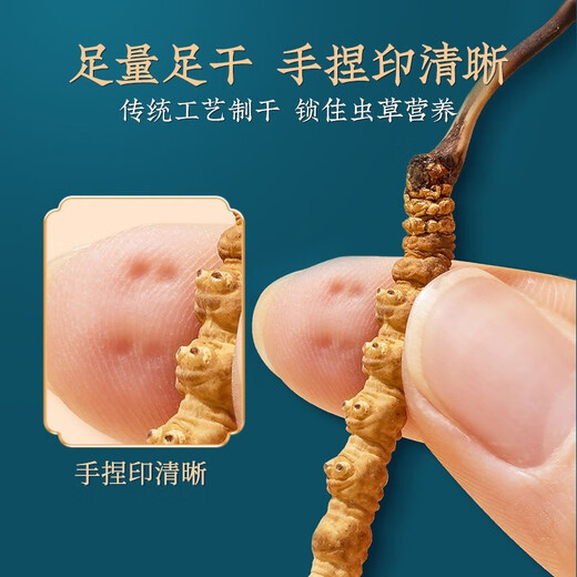 Luzhangtang Tibetan Qu Premium Cordyceps 1 gram Pack of Broken Cordyceps Broken Grass Cordyceps Cooked 1 gram Pack of Bought 1 gram Pack of Self-Selectable. Nagqu, Tibet High-altitude Wild (Whole Meat Cordyceps) 1 gram Pack of