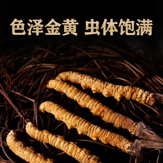 
Liwei Leopard Cordyceps gift box 4 pieces/gram 5g pack 20 pieces of high-altitude freeze-dried Cordyceps gift gifts for elders and leaders