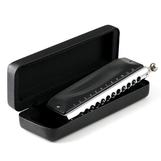JDR JDR chromatic harmonica 12-hole C key GM-0648 imported gongs for beginners and professional players - matte black