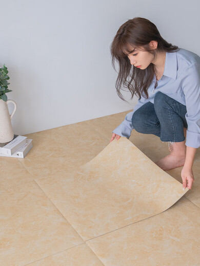 vieruodis地板贴pvc石塑地板贴自粘地板革商用地贴加厚耐磨防水 6172A  80x80一片