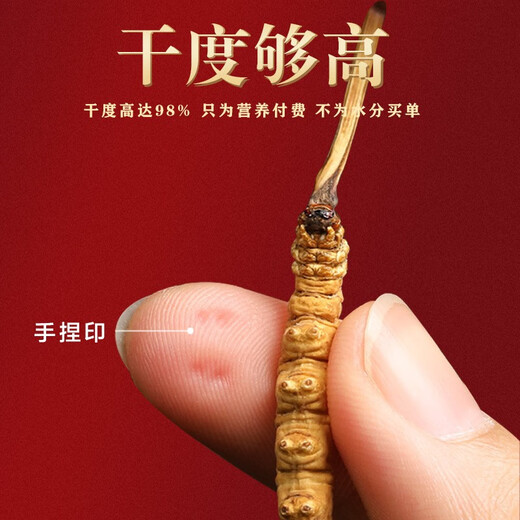 山威 冬虫夏草5克 精选一级品质4条/g虫草礼盒送领导见贵人高端礼物