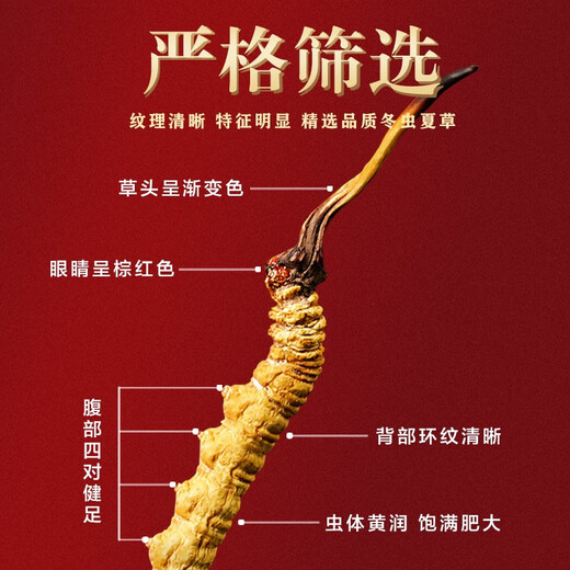 山威 冬虫夏草5克 精选一级品质4条/g虫草礼盒送领导见贵人高端礼物