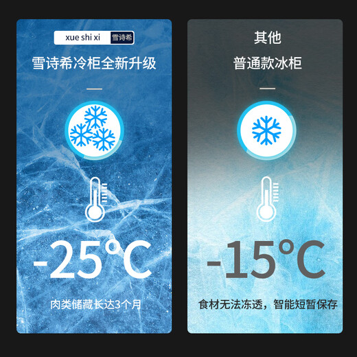 Xueshixi Commercial Kühlschrank Gefrierschrank Horizontale Kühlung mit großer Kapazität und Gefrierdoppelpurpulse Super großes Kupferrohr Gefrierschrank Doppeltemperatur Kühlschrank großer Kapazität Kühlschrank 828 Einzeltemperatur Kupferrohr-Upgrade-Modell (Länge 1,7 Meter)