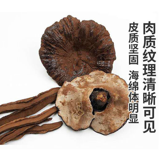 Ganjunzhuang violet ganoderma lucidum changbai montagne naturel sauvage noir ganoderma lucidum ganoderma lucidum tranches trempées dans de l'eau trempée dans la poudre de spores de vin ganoderma lucidum tranches 100g de ganoderma lucidum (envoyer wolfberry)