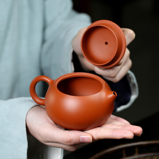 Hidden Pot World Government Subsidy Yixing Zisha Pot Purely Handmade Teapot Zisha Tea Set Zhuni Xishi Tea Set