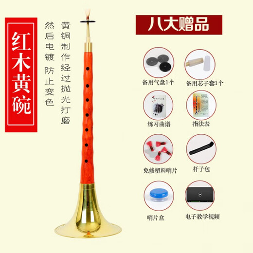 管艺 红木乌木唢呐乐器全套唢呐民族乐器成人初学演奏锁啦喇叭 红木D调黄碗【8种赠品】