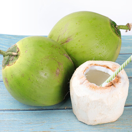 Xirou Hainan Coconut Green Coconut with Skin Green Coconut Fresh Coconut Water Coconut Juice Fruit Healthy Drink for Pregnant Women Freshly Picked Green Coconut with Skin 2 Pack