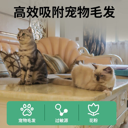 Andermair Allergy Removal Air Purifier Adsorbs cat hair and deodorizes pet floating hair and dust removal and odor removal P