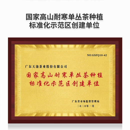天池1392茶叶 凤凰潮州单枞蜜兰香 高山单丛乌龙茶正春乌岽茶米罐125g