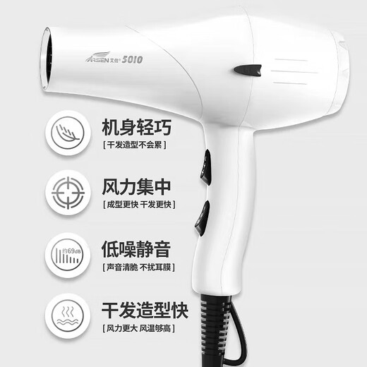 Aixin Aixin Haartrockner Special für Friseursalon, Hochleistungsk8 Negative Ionen Haarpflege Stille Luftgebläse für Friseurstore Special für Friseur Aixin 5010 Black (2200 Watt)