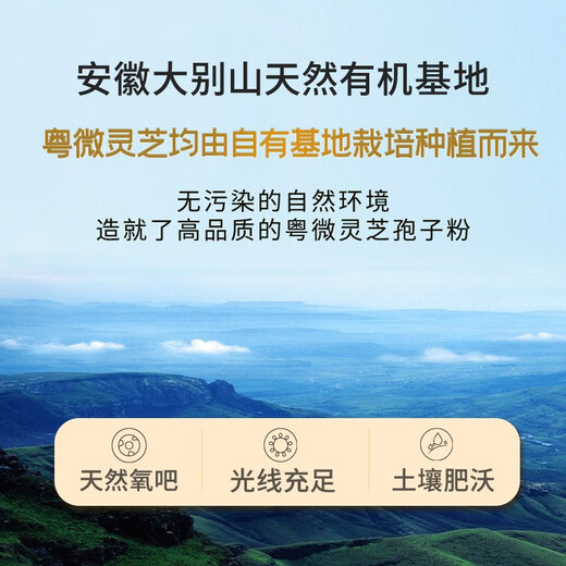 粤微全灵芝孢子粉免疫调节酶法破壁多糖三萜中老年成人保健品送礼 【有机灵芝】2g/袋*30袋/盒