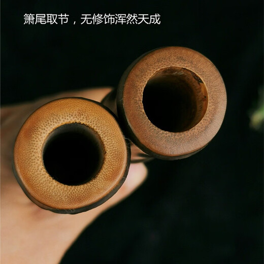 管子先生管子先生手作老紫竹演奏级短箫洞箫萧迷你箫便携式箫精品短萧乐器 一节八孔G调正手