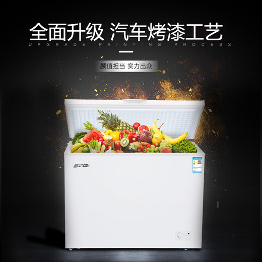 白雪（Baixue）白雪冷柜冰柜BD/C234T单温可转换冷冻冷藏顶开门冷柜卧式冰柜 341升1289*645*895金色3级能效