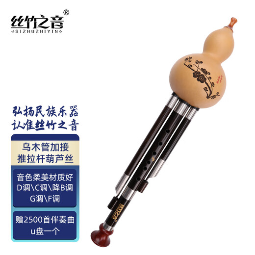 丝竹之音葫芦丝乌木管加接推拉杆葫芦丝儿童演奏通用型云南民族吹奏乐器 降B调