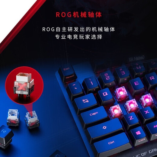 ROG Keyboard Gaming Keyboard and Mouse Set RGB Light Sync Hot-swappable Ergonomic Design Multi-mode Connection Wireless Bluetooth Keyboard and Mouse Light Sync Dragon Knight 2 PBT Spartan X