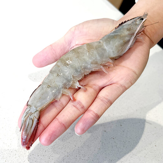 Fresh Jingcai, over one million sales, Ecuadorian white shrimp, net weight, 3Jin Jin is equal to 0.5kg/box, 28-46 pieces/box, shipped directly from the source