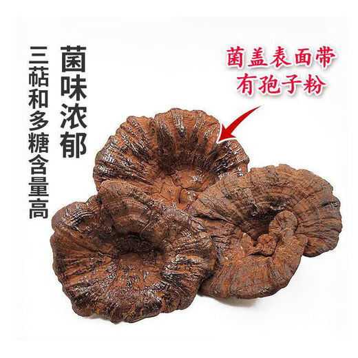 Ganjunzhuang violet ganoderma lucidum changbai montagne naturel sauvage noir ganoderma lucidum ganoderma lucidum tranches trempées dans de l'eau trempée dans la poudre de spores de vin ganoderma lucidum tranches 100g de ganoderma lucidum (envoyer wolfberry)