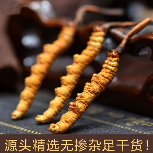 Beijing Tongrentang Tong Qualidad 2024 Cordyceps de primer término 10 Cajas de regalo para Cordyceps rotos Productos secos enteros SF Express Select 2 varillas/g 20 Packle de tubería de lujo Box de regalo