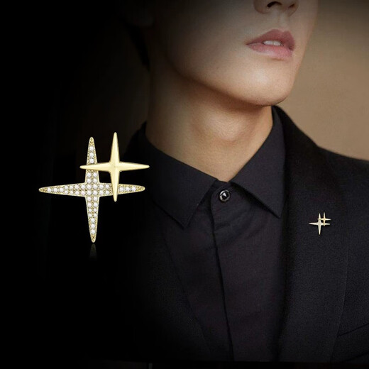 MOLC exquisite small brooch, high-end men's corsage, suit collar button pin, shirt collar badge, birthday gift for boyfriend, star brooch-XZ0195 silver
