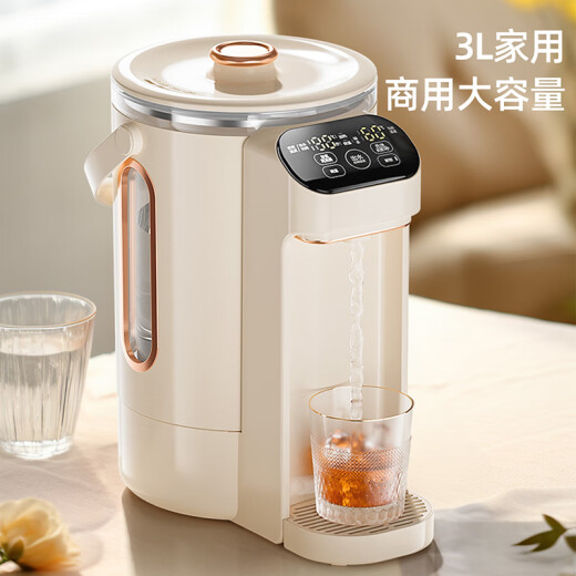 志高（CHIGO）电热水壶烧水壶电热水瓶烧水壶保温一体全自动恒温电热水壶3L大容量恒温水壶除氯多段保温DC-P831