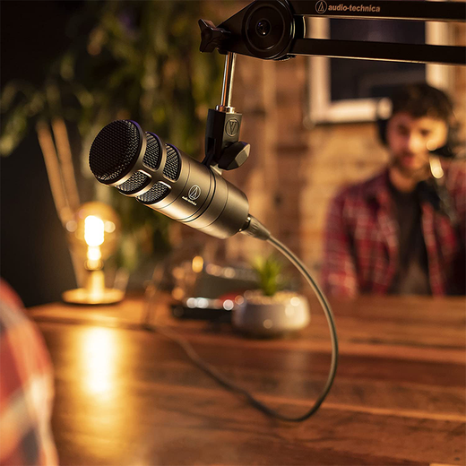 Audio-technica at2040 dynamic microphone audiobook recording set human voice noise reduction professional equipment game live broadcast radio dubbing with Yamaha UR22C sound card set