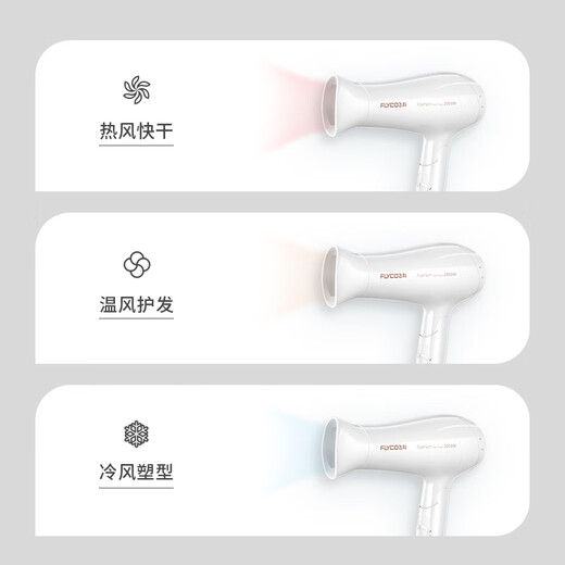 飞科电吹风机家用护发负离子大功率静音小型宿舍用学生速干吹风筒 飞科FH6296青春色赠【卷梳套装】