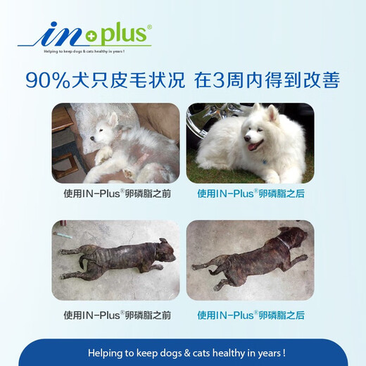 IN-PLUS Lecithin Dog in-plus Series Pet Dog Fish Oil Soft Phospholipid Granules Matex Nutritional Supplement for Dogs丨Super Concentrated Lecithin 65g Try Fresh Pack