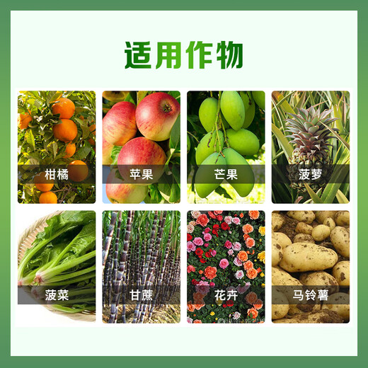Guoguang gibberellic acid gibberellin 920 growth regulator solution citrus flower and fruit preservation grape germination and antidote 200ml
