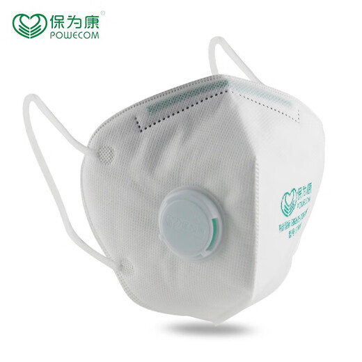 保为康9700V防尘口罩KN90独立包装带呼吸阀防雾霾工业劳保装修粉 9711V头戴式带阀（10只）