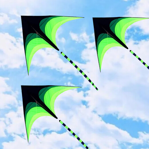 Yunya Kite 2025 Nouvelle brise facile à vol Easy Loding Extra grande 1,6 mètre Bobine de prairies Adulte Toys Outdoor 2 mètres queue de cerf-volant 10 mètres + 200 mètres Piece Wheel