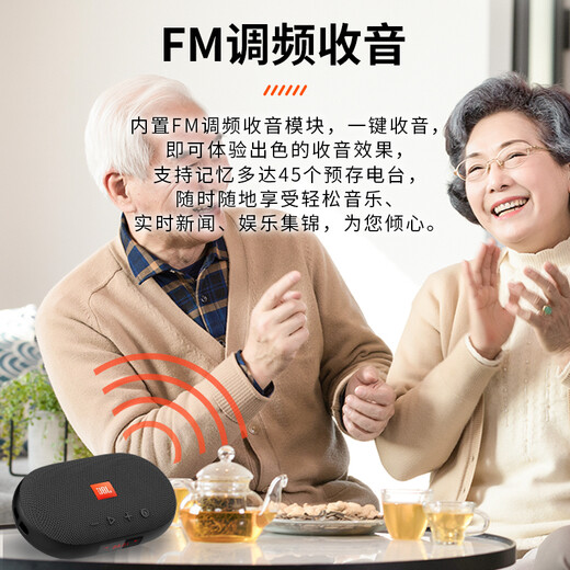 JBL TUNE3 multi-function plug-in card Bluetooth speaker, national subsidy, portable outdoor audio, FM radio, TF card, travel gift, gray