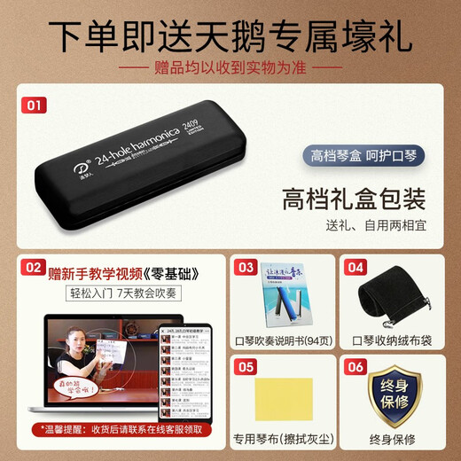 Swan (SWAN) 24-hole polyphonic harmonica Dream Chaser 2409 imported gongs for adults and children professional playing harmonica C key silver